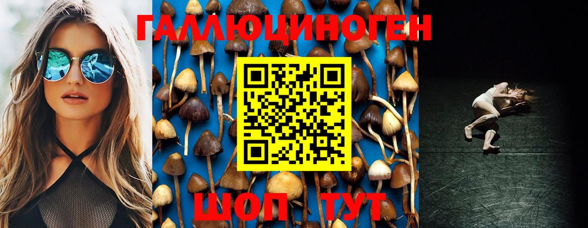 Наро-Фоминск  Псилоцибиновые грибы GOLDEN TEACHER  Вход с VPN 